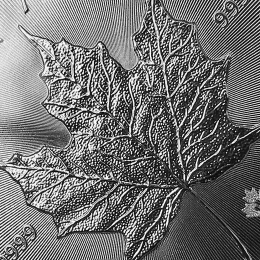 世界五大投资银币 一套5枚 2021年 中国金币封装套 商品图12