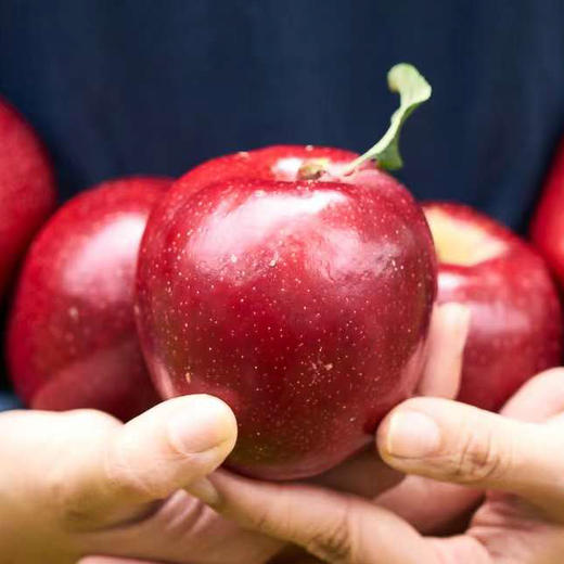 哈巴庄园藏红苹果 商品图0