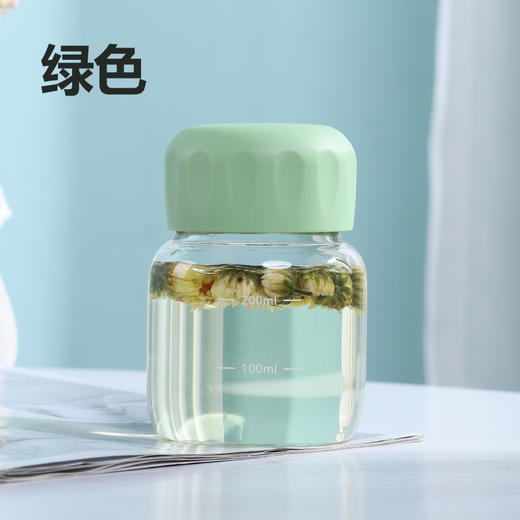 【敲高颜值！迷你玻璃胖胖杯】耐高温牛奶杯便携ins迷你玻璃水杯摇摇杯咖啡杯礼品，自带刻度 小巧便捷。ry 商品图6