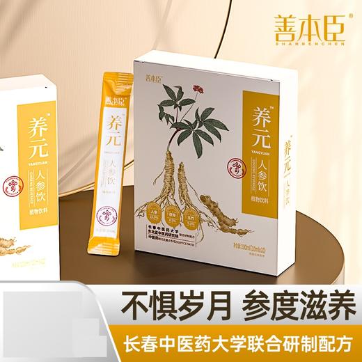 养元™人参饮100ml（10ml*10袋）ds（bs） 商品图0