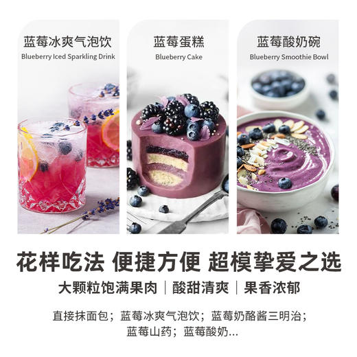 RICH&LIGHT 苹果西梅酱/蓝莓酱 150g 商品图10