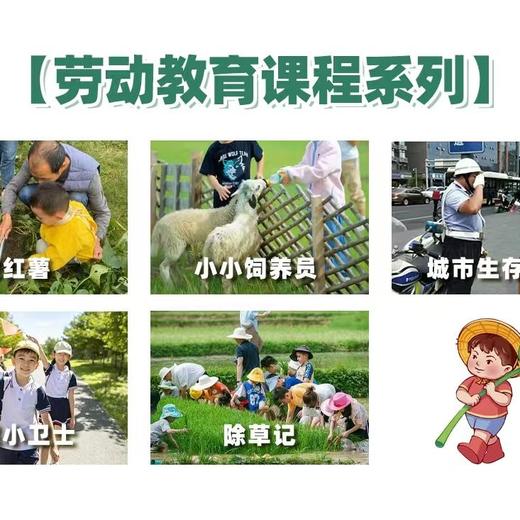 【蚕宝日归营】亲自然、乐教育，来蚕宝，在自然中学习、探索和体验，提升孩子综合素质！ 商品图5