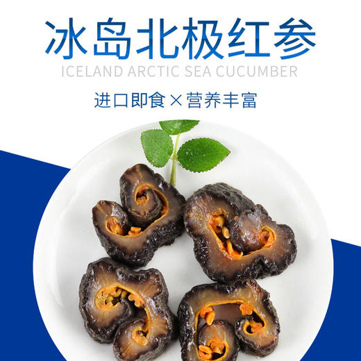 尊岛 淡干海参礼盒 250g【HSZQ20.0】 商品图1