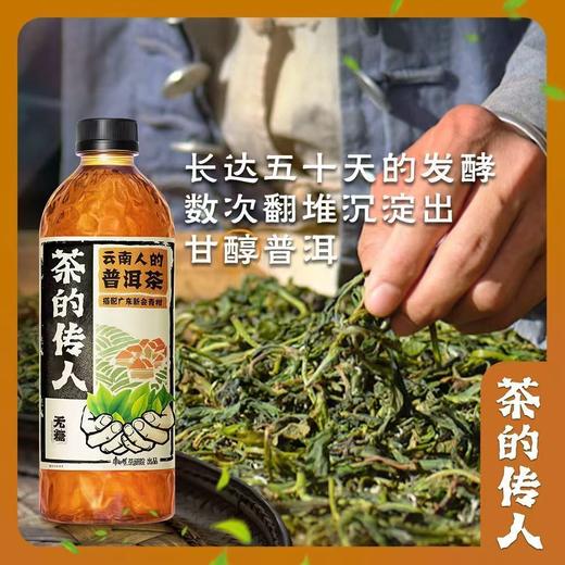 茶的传人 普洱茶 无糖 500ml*15 商品图0