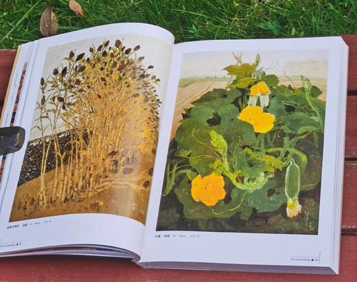 世界名画家全集之：《吴冠中》，16开，铜版彩印，吴可雨编著，河北教育出版社2009年一版二印，定价58，售价47元。 商品图8