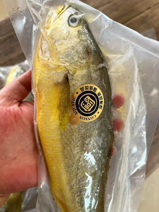国信1号黄花鱼，半野生！来自国企最大的水产养殖企业国信，价值5亿，全球首艘10万吨级智慧渔业养殖船，按照黄花鱼洄游习性从青岛海域-福建海域采用野游养殖方式，深远海养殖，肉质更紧实，口感更鲜美！ 商品图4