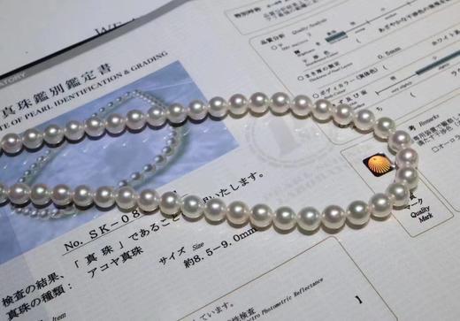 8.5-9mm珍珠项链 商品图1