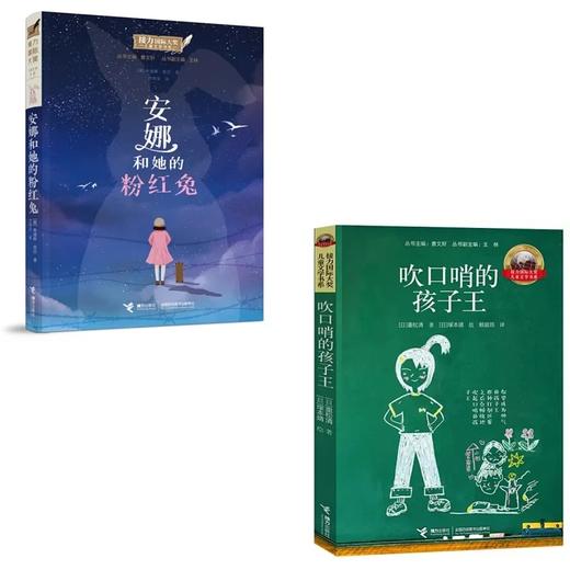 接力国际大奖书系(6册) 商品图3