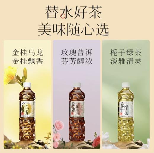 茶与水说无糖茶500ml*15瓶 商品图0