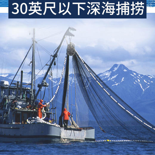 尊岛 淡干海参礼盒 250g【HSZQ20.0】 商品图2