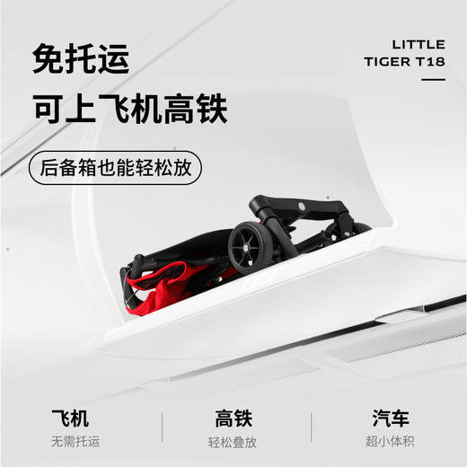 小虎子T18限量款推车（6个月-6岁） 商品图3