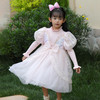 【梦幻公主裙】秋冬长袖裙中大童连衣裙保暖礼服裙童装网纱蓬蓬裙234DQ0297 商品缩略图3
