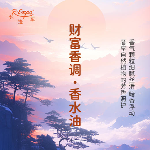 财富香调香水油 植物精油香氛 适用护体香 护手油 润发丝 大篷车精油 商品图2