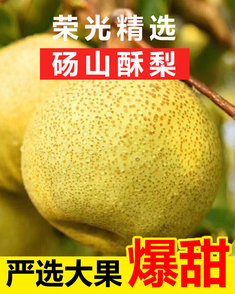 【砀山酥梨】松脆·化渣·一口咬开爆汁 · 冰糖雪梨/梨膏/梨汁棒棒糖/多种吃法 无菌套袋种植0膨大剂甜蜜素 宝宝孕妇老人放心吃！