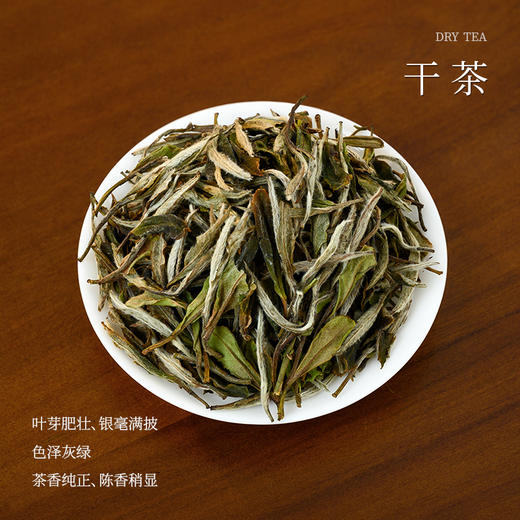 懂茶帝-福鼎白茶2021年牡丹（四溢）100克/250克 商品图1