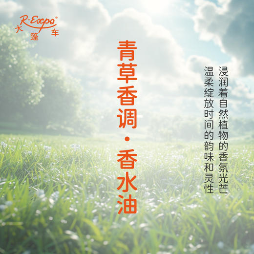 青草香调香水油 植物精油香氛 适用护体香 护手油 润发丝 大篷车精油 商品图1
