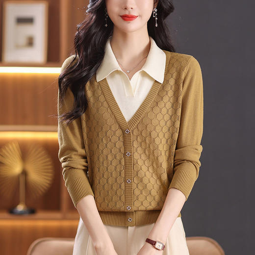 CC-101-90961假两件上衣女时尚洋气2024早秋新款针织衫长袖翻领毛衣打底衫春秋 商品图1