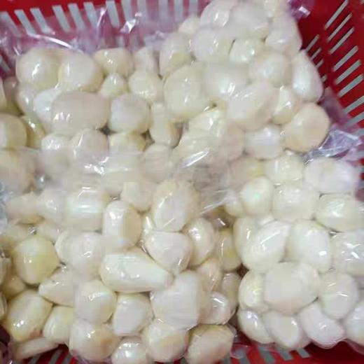 新鲜鸿光芋艿10斤 商品图4