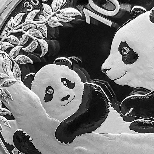 世界五大投资银币 一套5枚 2021年 中国金币封装套 商品图10