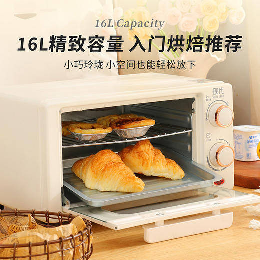 现代烤箱家用一件起批发多功能16L烘焙专用跨境oven双层电烤箱 商品图1