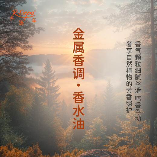 金属香调香水油 植物精油香氛 适用护体香 护手油 润发丝 大篷车精油 商品图2