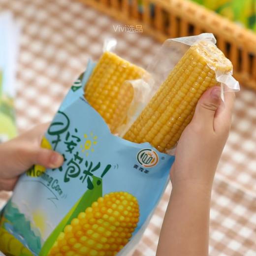 【文泰】早安大苞米 𝟏𝟎𝟎万+家庭的安心之选   绿色食品认证   母婴级金牌认证 商品图0