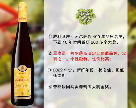 【现货促销，仅限今天】法国阿尔萨斯百年品质名庄：威利酒庄黑皮诺干红（2022年） 商品图0