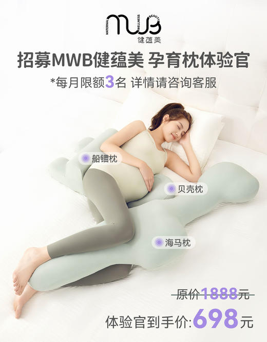 健蕴美 孕育枕2.0新款体验官限时限购 商品图1