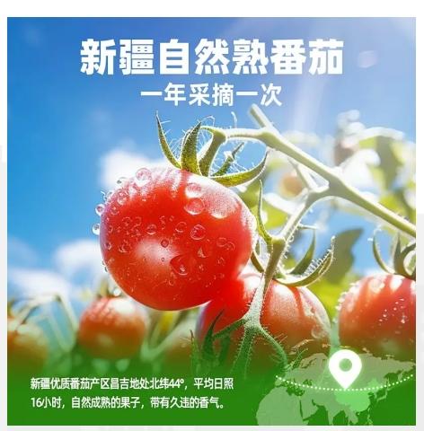 AY嘉裕荣番茄红素 商品图1