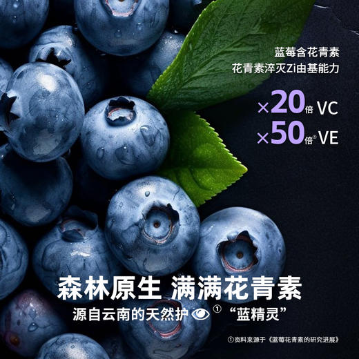 RICH&LIGHT 苹果西梅酱/蓝莓酱 150g 商品图9