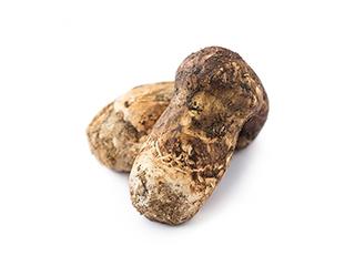 香格里拉新鲜松茸 商品图0