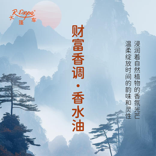 财富香调香水油 植物精油香氛 适用护体香 护手油 润发丝 大篷车精油 商品图1