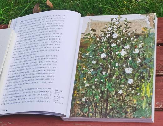 世界名画家全集之：《吴冠中》，16开，铜版彩印，吴可雨编著，河北教育出版社2009年一版二印，定价58，售价47元。 商品图7