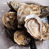 布锐琪·马奥伦生蚝 法国原箱进口鲜活大号生蚝 12只/箱 约1.6kg 商品缩略图4