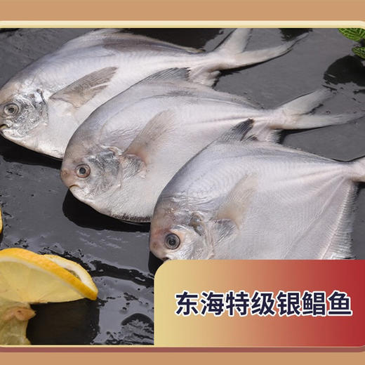 食品礼包【HSZQ20.0】 商品图4