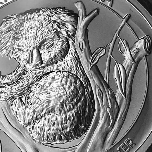 世界五大投资银币 一套5枚 2021年 中国金币封装套 商品图13