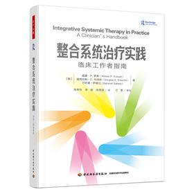 万千心理·整合系统治疗实践：临床工作者指南