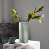 北欧简约渐变绿竖纹直筒花瓶餐桌客厅软装家居水培郁金香玻璃花瓶 商品缩略图3