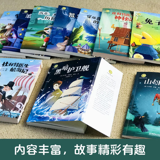 【礼盒装】纽伯瑞国际儿童文学大奖小说（全10册） 商品图4