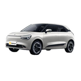 东风 纳米 01 430 Air【长租-北京】