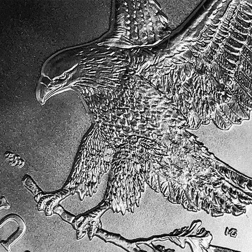 世界五大投资银币 一套5枚 2021年 中国金币封装套 商品图11