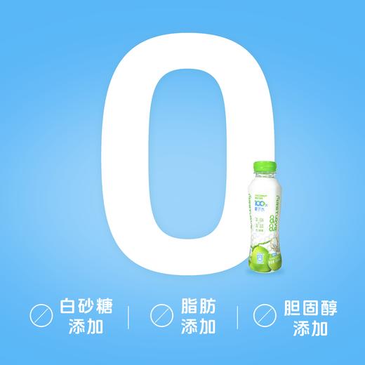 亚洲First Love Coco 椰子水 350mL*8瓶 原汁原味 无菌冷藏 天然电解质 48小时发货（1.15起春节暂停发货） 商品图3
