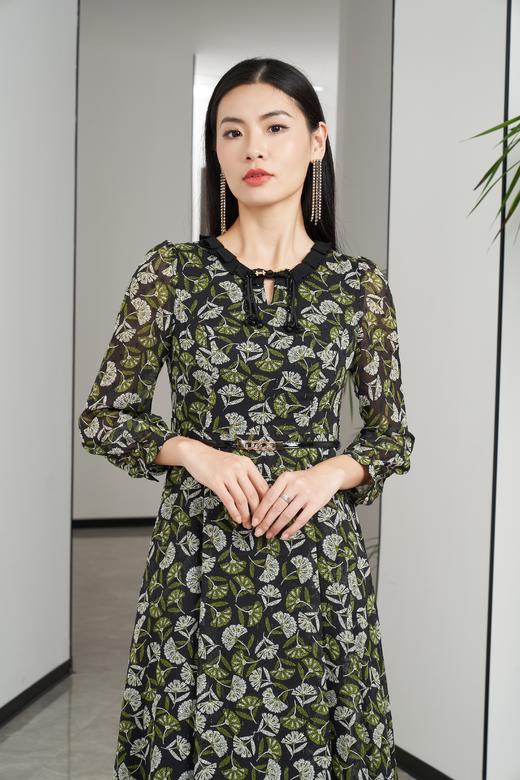 水龙吟连衣裙HJ3S63 商品图0