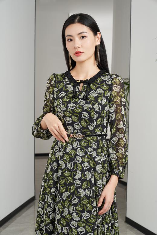 水龙吟连衣裙HJ3S63 商品图1