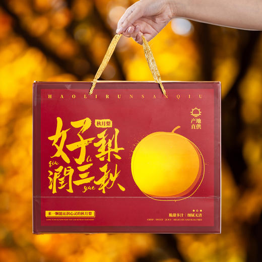 热卖！爆汁！山东莱西秋月梨 净重4.5斤 新鲜当季水果 商品图7