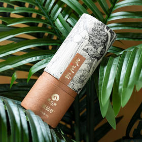 滋仙草灵芝茶办公室家庭泡茶