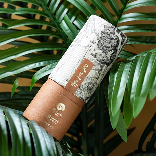 【198元4桶】滋仙草灵芝茶办公室家庭泡茶 商品图2