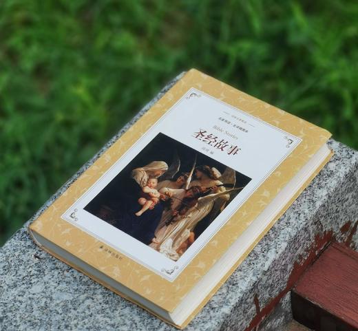 《shengjing故事》，软精装，段琦编，译林出版社2017年一版二印，定价32，售价29元。品相9成。 商品图1