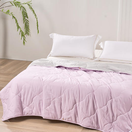 富安娜  净柔夏被-远山·紫203*229cm(370g) 商品图1