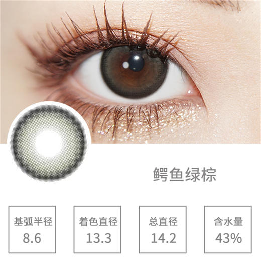 Darrens 鳄鱼绿棕日抛 (10片装） 商品图1